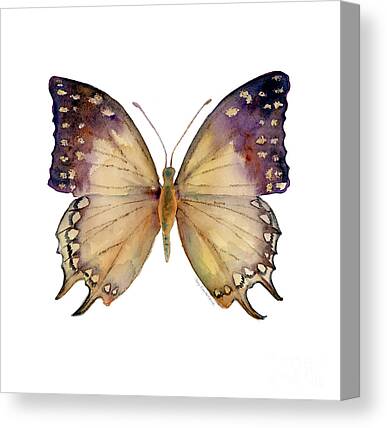 BUTTERFLY Canvas Print Framed Wall Art Picture Photo Image 020116-31 