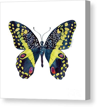 Black Butterfly Canvas Prints | Fine Art America