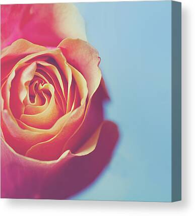 Red Rose Flower Bud With Water Dew Rain 5 Panel Canvas Print Wall Art Painting