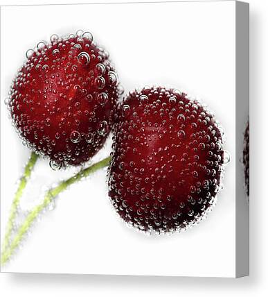 Passion Fruit Canvas Prints