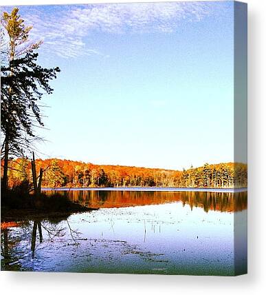 New England Fall Foliage Canvas Prints