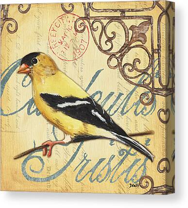 American Goldfinch Canvas Prints