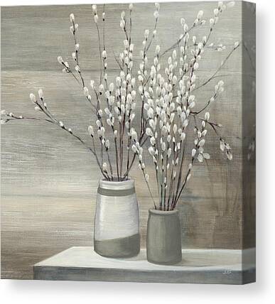Pussy Willow Branches Canvas Prints
