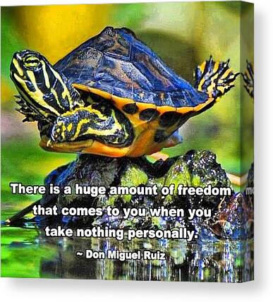 Befree Canvas Prints