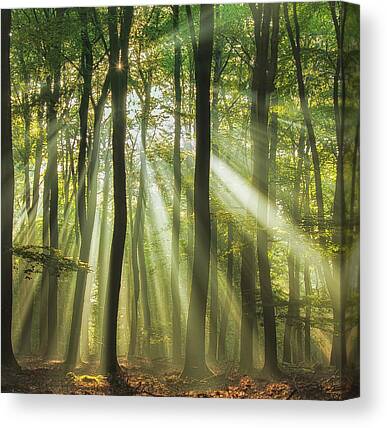 Stunning Photography - 1X Summer Day Canvas Prints