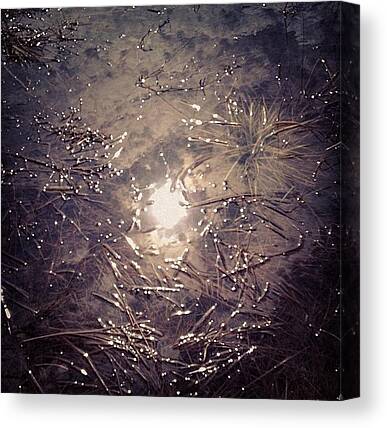 Reflection Nebula Canvas Prints