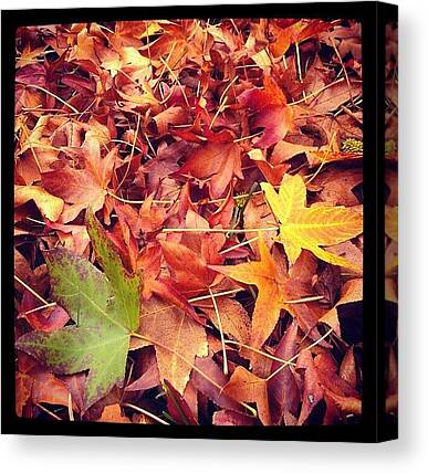 Green Brown Canvas Prints