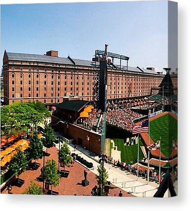 Opacy Canvas Prints