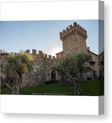 Castello Di Amorosa Canvas Prints