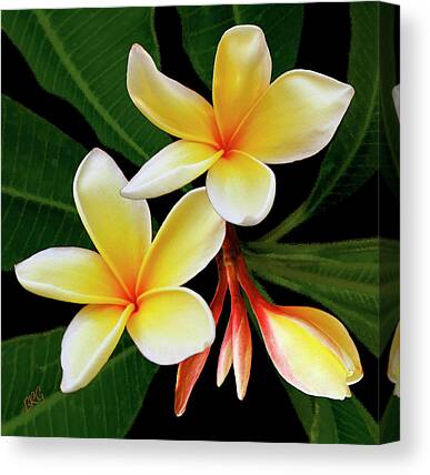 FRANGIPANIS AND BIRDS LARGE A3 SIZE QUALITY CANVAS ART PRINT 