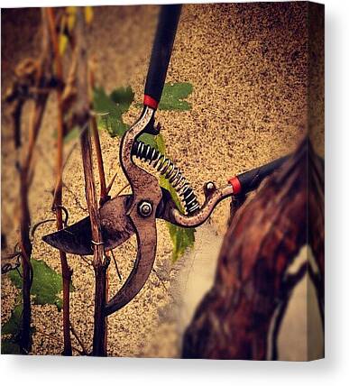 Pruning Shears Canvas Prints