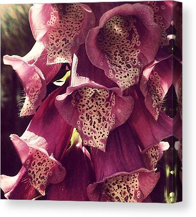 Macro Flower Canvas Prints