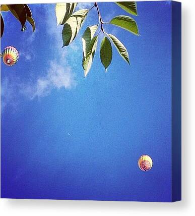 Air Balloons Canvas Prints