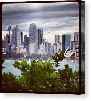 Sydney Harbour Canvas Prints