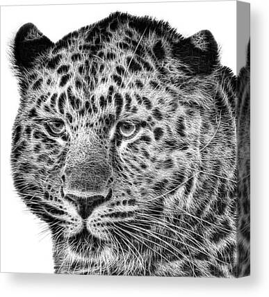 Leopardlove Canvas Prints