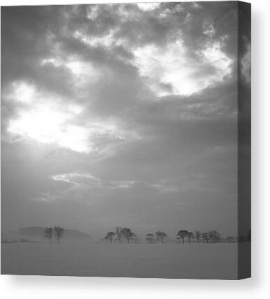 Clouds Horizon Grey Trees Minimal Canvas Prints