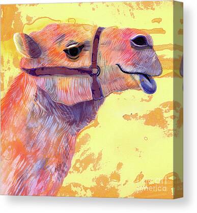 Camel Canvas Prints