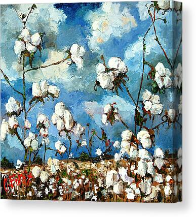 Cotton Field Canvas Prints