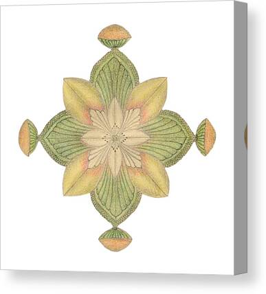 Modern Canvas Prints