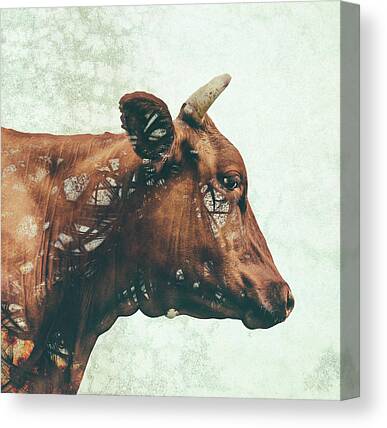Farm Animal Canvas Prints