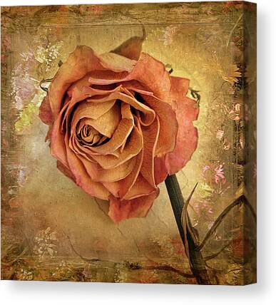 LARGE A3 SIZE QUALITY CANVAS ART PRINT WHITE & PINK ROSES STILL LIFE 