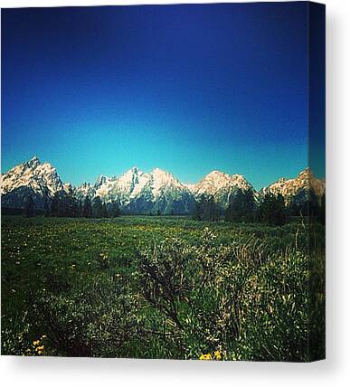 Teton Mountains Canvas Prints