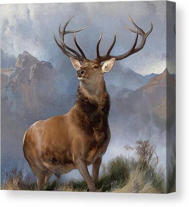 Scottsh Art Stag Deer enmarcado cuadro con Rojo Tartán