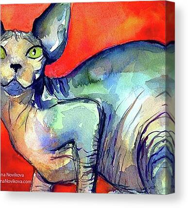 Sphynx Cats Canvas Prints
