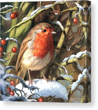 Christmas Greeting Canvas Prints