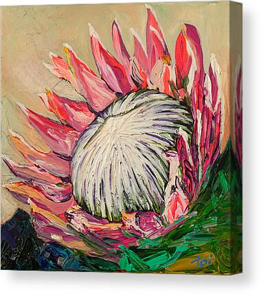 candy paint brush Canvas Print for Sale by Phongphanit Phloideang