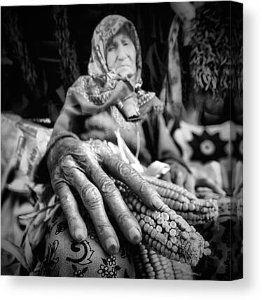 Old Female Hands Canvas Prints