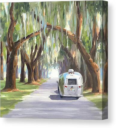 Southern Oak Tree Canvas Prints
