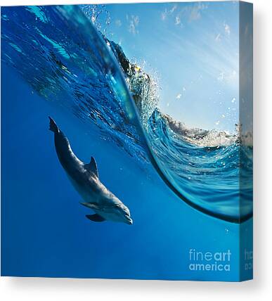 A756 Dolphin Sea Waves Blue Funky Animal Canvas Wall Art Large Picture Prints 