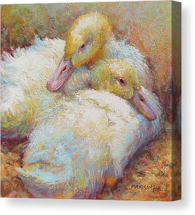 Duck Feathers Canvas Prints