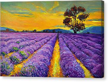 Lavender Painting by Ivailo Nikolov