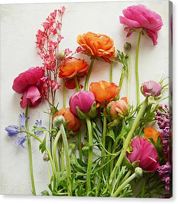 Spring Joy Canvas Print