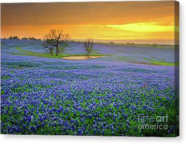 Featured image of post Wildflower Fields Wall Art : Download wildflowers field (348530) today!