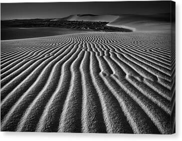 Print Dune Du Pilat Travel Photography Desert Dunes Sand Dunes Black and White Poster Fine Art Desert print Photography Wall Decor