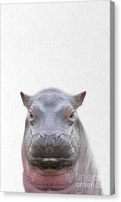 CUTE BABY HIPPO SWIMMING LARGE A3 SIZE QUALITY CANVAS ART PRINT
