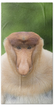 Proboscis Monkey Hand Towels