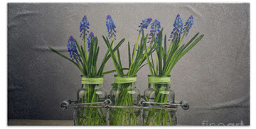 Designs Similar to Hyacinth Still Life #4