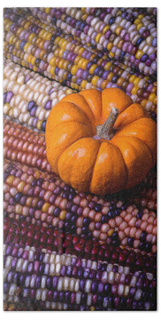 Designs Similar to Small pumpkin with Indian corn