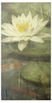 Designs Similar to Water Lily by Scott Norris