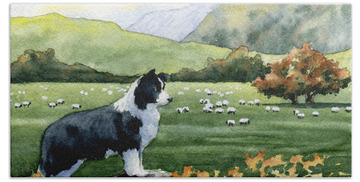 Border Collie Hand Towels