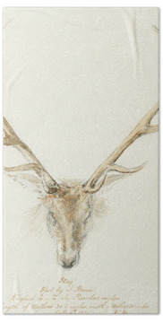Designs Similar to A stag shot by John Brown