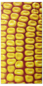 Sweet Corn Hand Towels