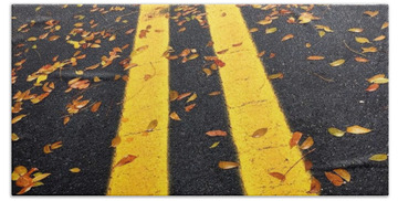 Designs Similar to Fallen Leaves On The Street