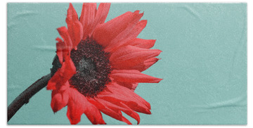 Red Sunflower Hand Towels
