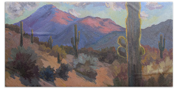 Designs Similar to Late Afternoon Tucson 2
