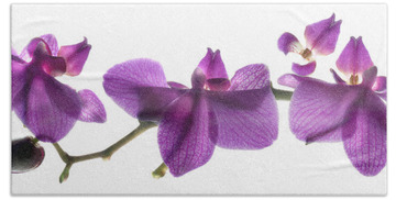 Orchids Hand Towels
